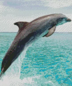 Jumping Dolphin Diamond Painting
