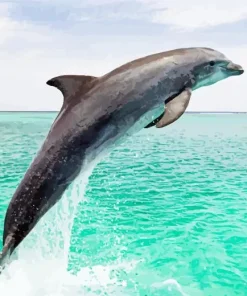 Jumping Dolphin Diamond Painting