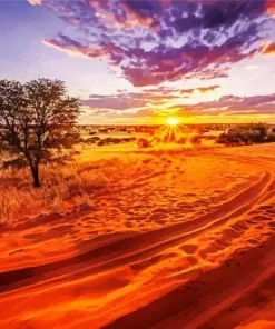 Kalahari Desert Diamond Painting