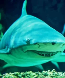 Lemon Shark Diamond Painting