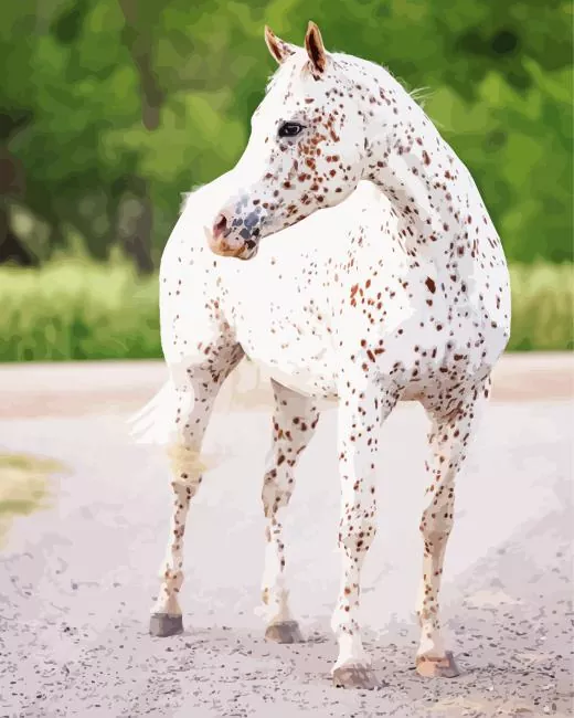 leopard horse paint by number Leopard Horse Diamond Painting