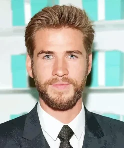 Liam Hemsworth Diamond Painting