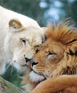 Lion And Lioness Diamond Painting
