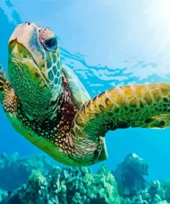 Loggerhead Sea Turtle Diamond Painting