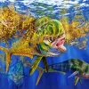 Mahi Mahi Fishes Diamond Painting