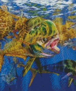 Mahi Mahi Fishes Diamond Painting