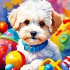 Maltipoo Dog Diamond Painting