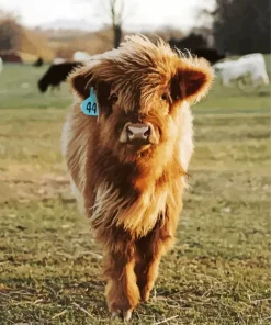 Miniature Cow Diamond Painting