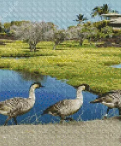Nene Birds Diamond Painting