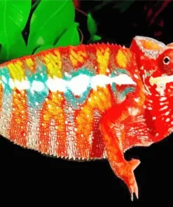 Panther Chameleon Diamond Painting