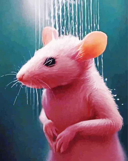 pink mouse Diamond Paints Pink Mouse Diamond Painting