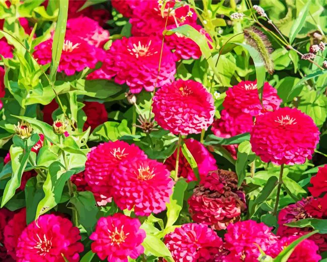 pink zinnia flowers Diamond Paints Pink Zinnia Flowers Diamond Painting