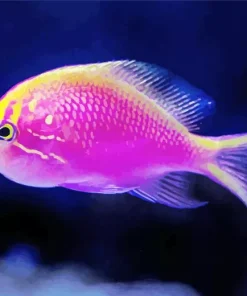 Purple Fish Diamond Painting