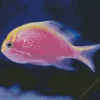 Purple Fish Diamond Painting