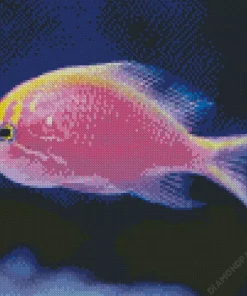 Purple Fish Diamond Painting