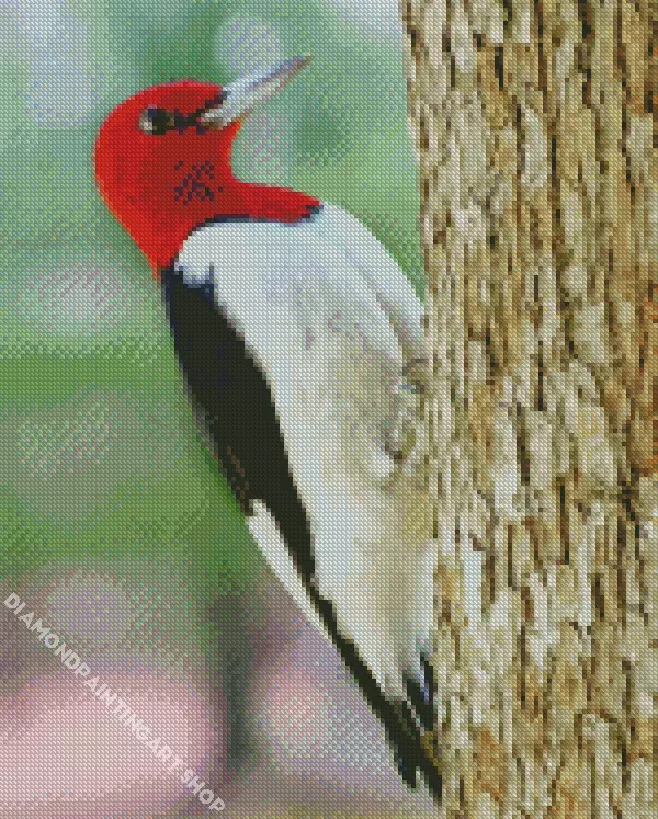 red headed woodpecker Diamond Dotz Red Headed Woodpecker Diamond Painting