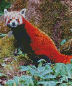 Red Panda Diamond Painting