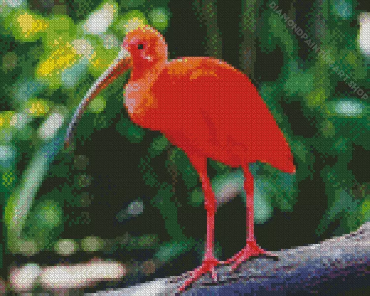 scarlet ibis bird Diamond Dotz Scarlet Ibis Bird Diamond Painting