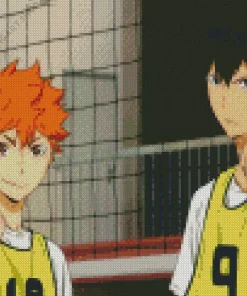 Shoyo Hinata Diamond Painting