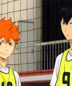 Shoyo Hinata Diamond Painting