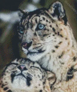 Snow Leopard Diamond Painting