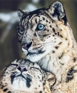 Snow Leopard Diamond Painting