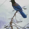 Stellers Jay Bird Diamond Painting