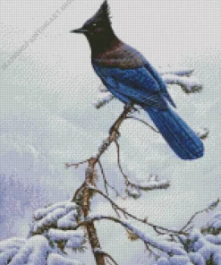 Stellers Jay Bird Diamond Painting