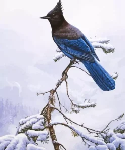 Stellers Jay Bird Diamond Painting