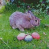 The Easter Bunny Diamond Painting