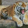 Tiger Roaring Diamond Painting