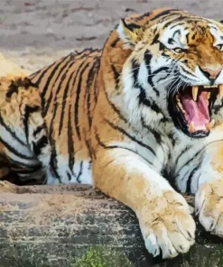 Tiger Roaring Diamond Painting