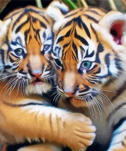 Tigers Hug Diamond Painting