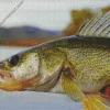 Walleye Fish Diamond Painting