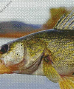 Walleye Fish Diamond Painting