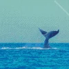 Whale Tail Diamond Painting