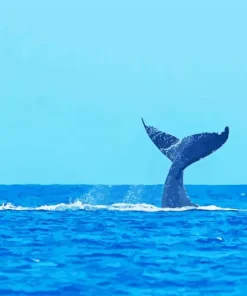 Whale Tail Diamond Painting