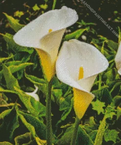 White Calla Lilies Diamond Painting