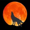 Wolf In The Moon Diamond Painting