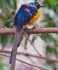 Yellow And Purple Bird Diamond Painting