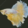 Yellow Betta Fish Diamond Painting