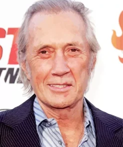David Carradine Diamond Painting