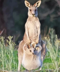 Baby Kangaroo In The Pouch Diamond Painting