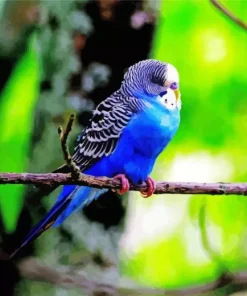 Blue Canary Bird Diamond Painting