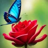 Blue Butterfly On Red Flower Diamond Painting