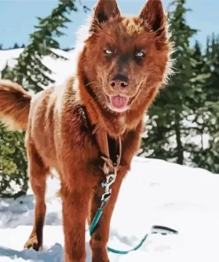 Brown Husky Diamond Painting