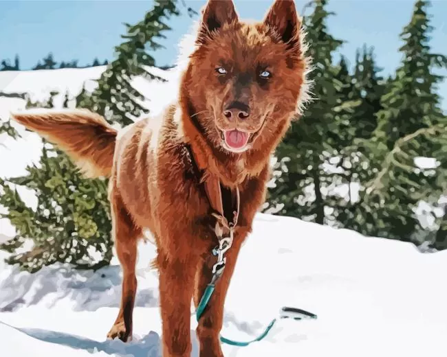 Brown Husky Diamond By Numbers Brown Husky Diamond Painting