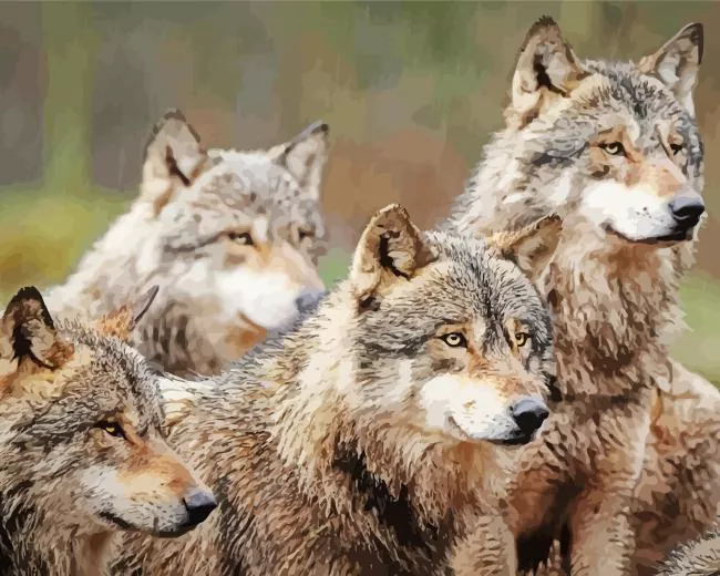 Brown Wolves Diamond By Numbers Brown Wolves Diamond Painting