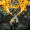 Burning Buck Antlers Diamond Painting