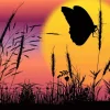 Butterfly Sunset Silhouette Diamond Painting